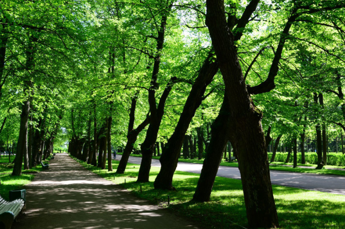 QQ截圖20170725165530.png QQ截圖20170725165530.png